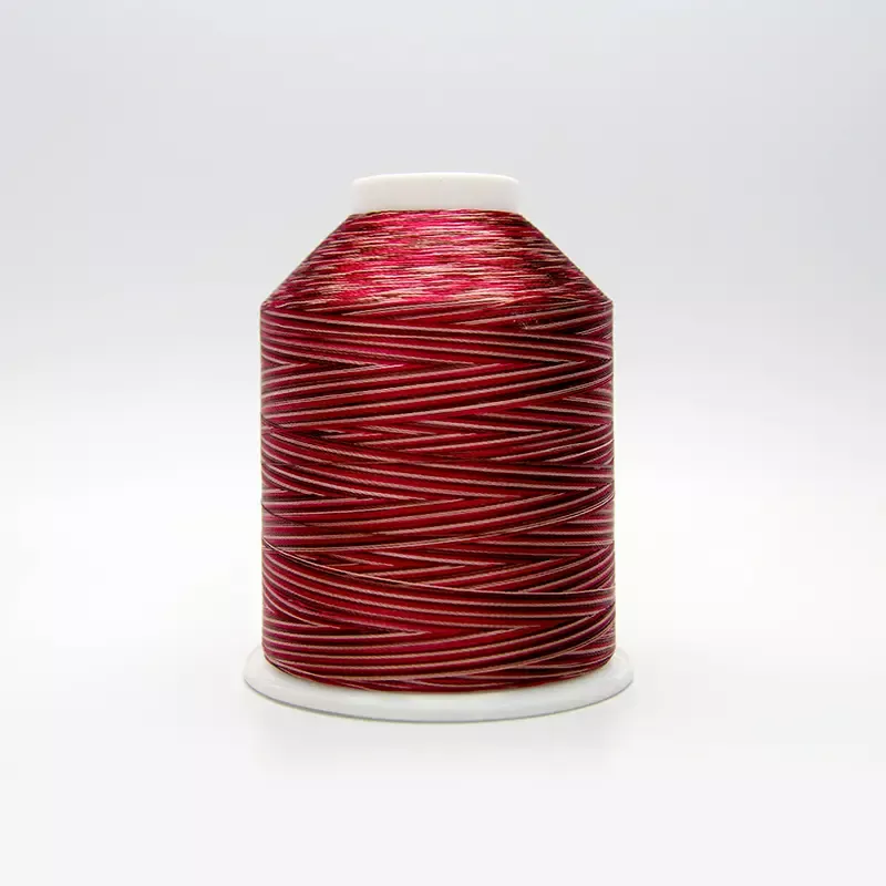 Borduurgaren van 100% viscoserayonfilament Borduurgaren van 100% viscoserayonfilament