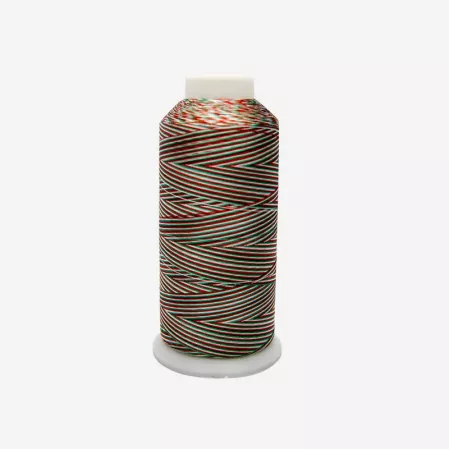 Rayon borduurgaren 120D/2 1000M